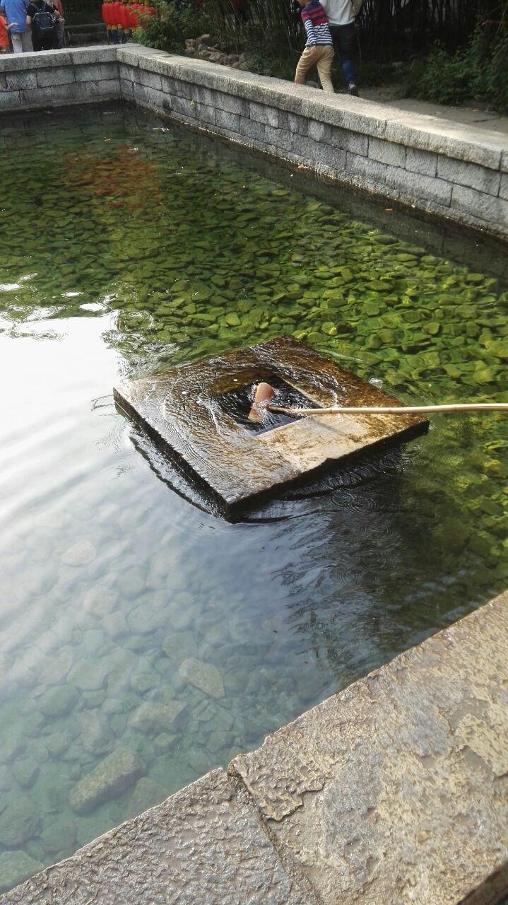 竹泉村