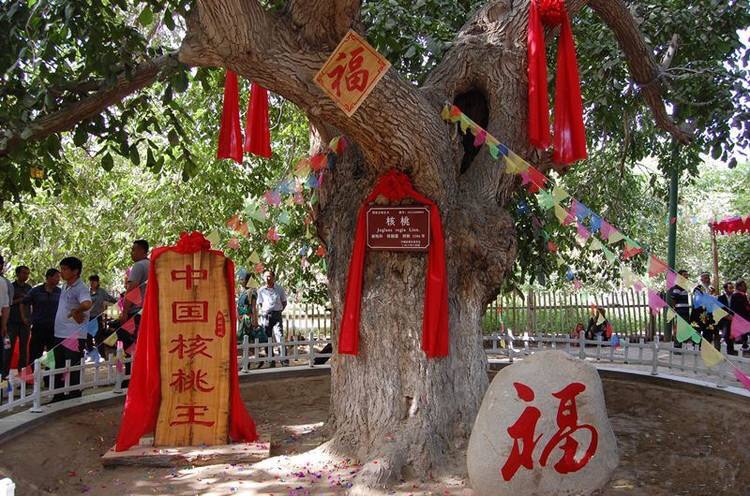 这里当时气候恶劣干旱少雨大地寸草不生百姓饥饿病疫流行核桃七仙园素