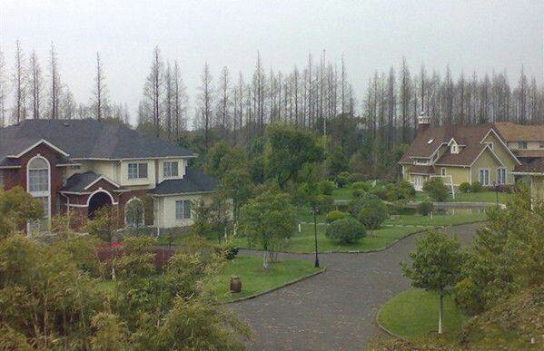 浏河岛度假村