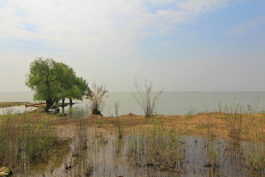 【携程攻略】巢湖巢湖地区湿地景点,巢湖湿地公园其实