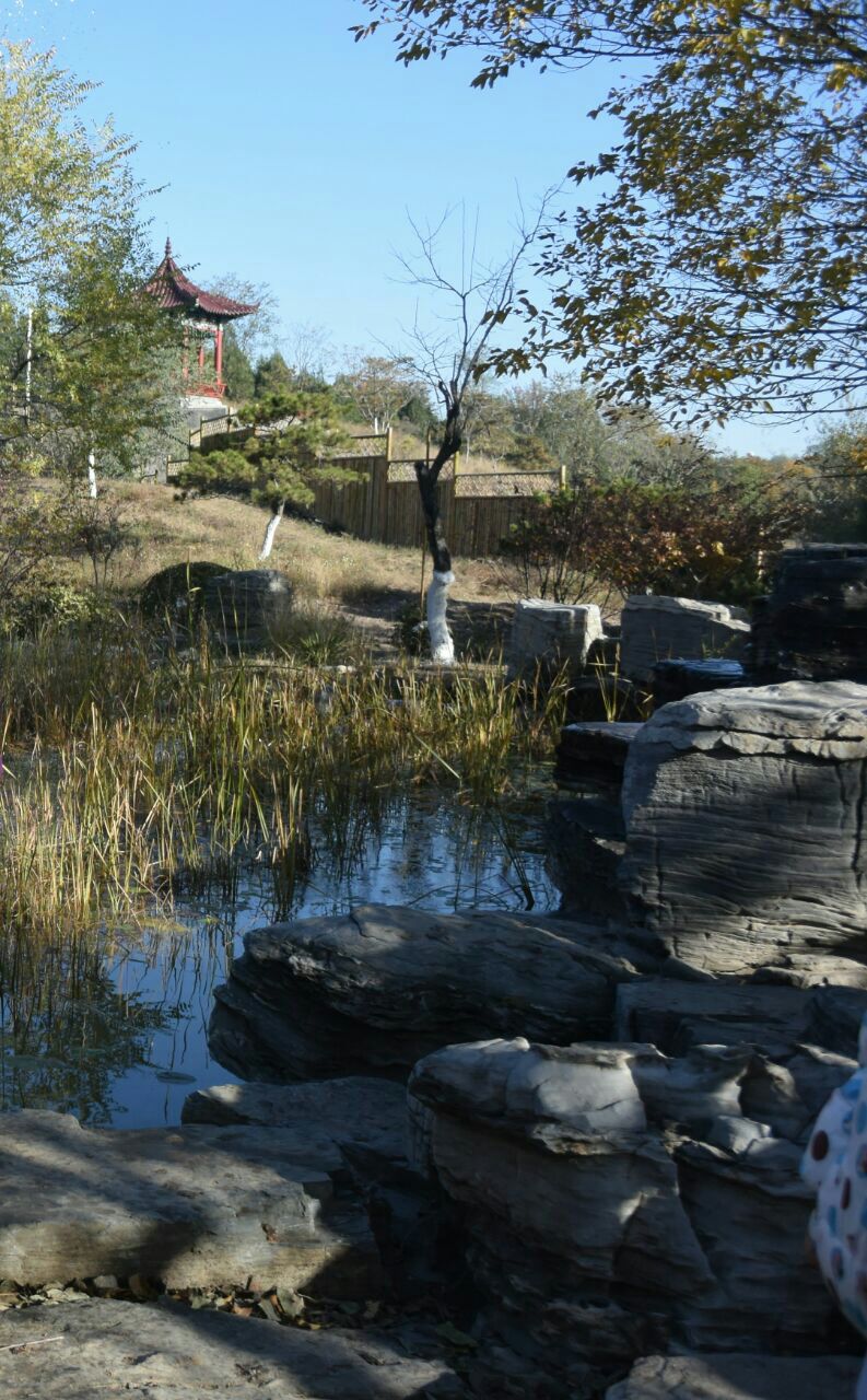 北京北宫国家森林公园好玩吗,北京北宫国家森林公园样