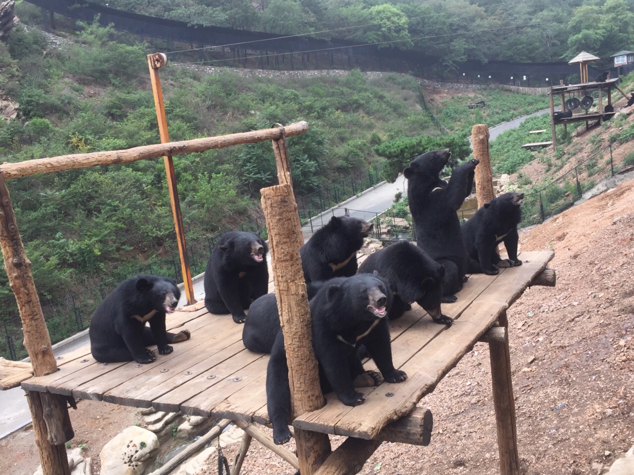 大连森林动物园