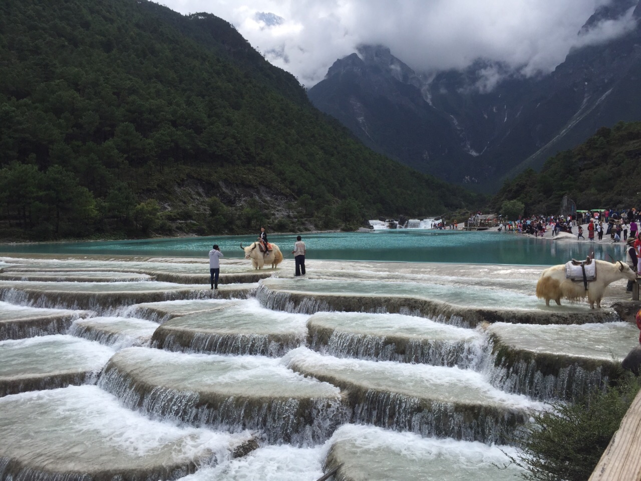 2019蓝月谷_旅游攻略_门票_地址_游记点评,丽江旅游