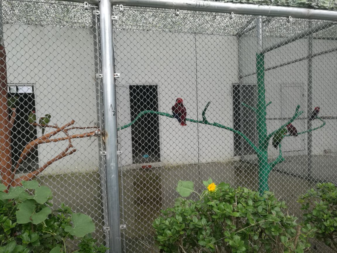 宿州野生动物园
