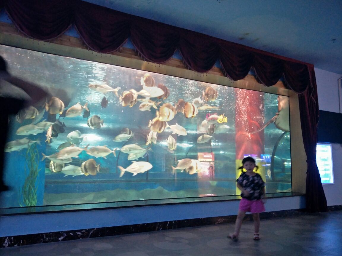 【携程攻略】六安海洋大世界好玩吗,六安海洋大世界样