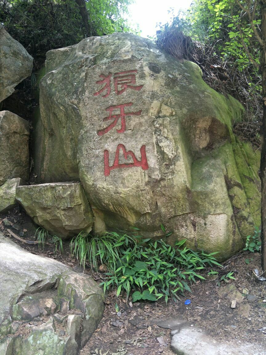 信阳鸡公山风景区好玩吗,信阳鸡公山风景区景点怎么样