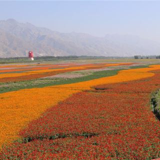 七彩大地景区