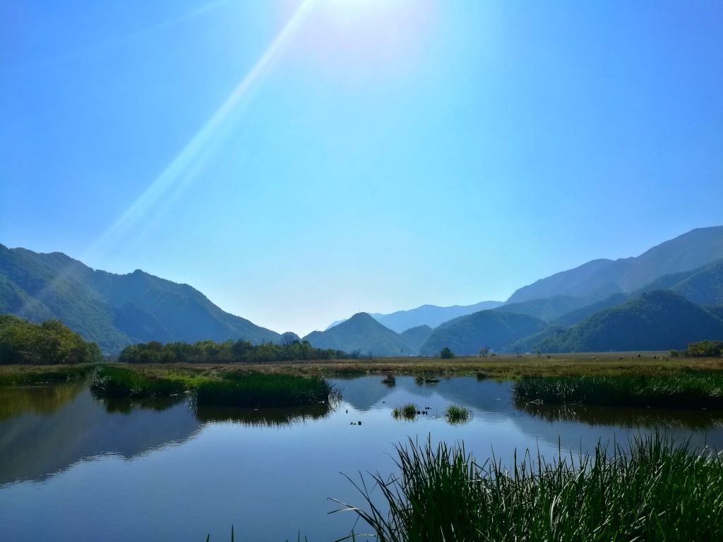 【携程攻略】湖北神农架大九湖国家湿地公园好玩吗,大