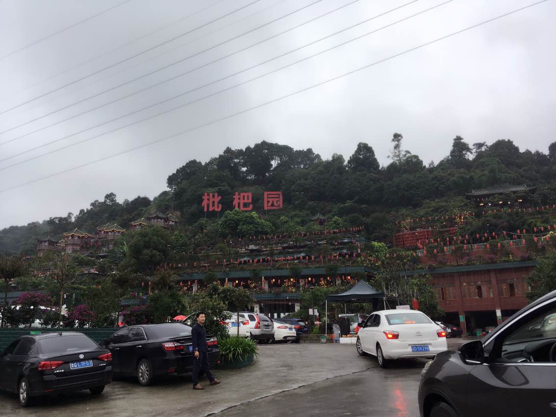 重庆枇杷园食为鲜火锅(金竹村店)好吃吗,枇杷园食为鲜