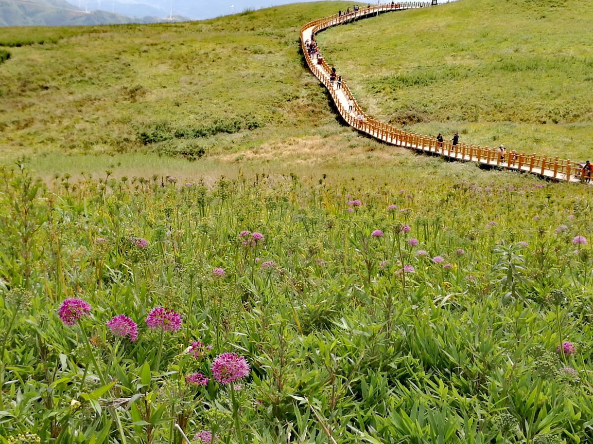 韭菜坪旅游景点攻略图