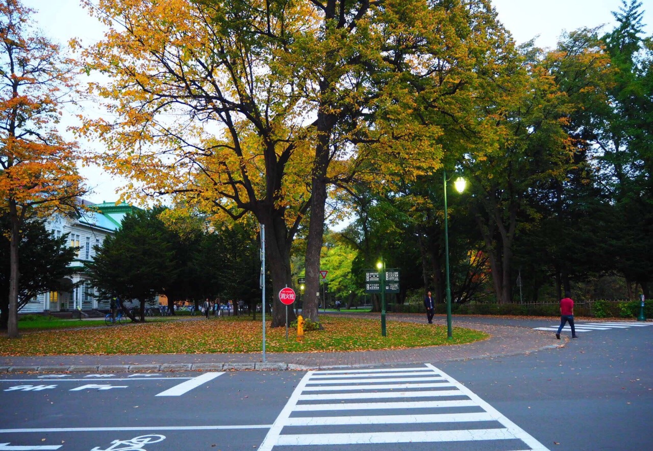 北海道大学