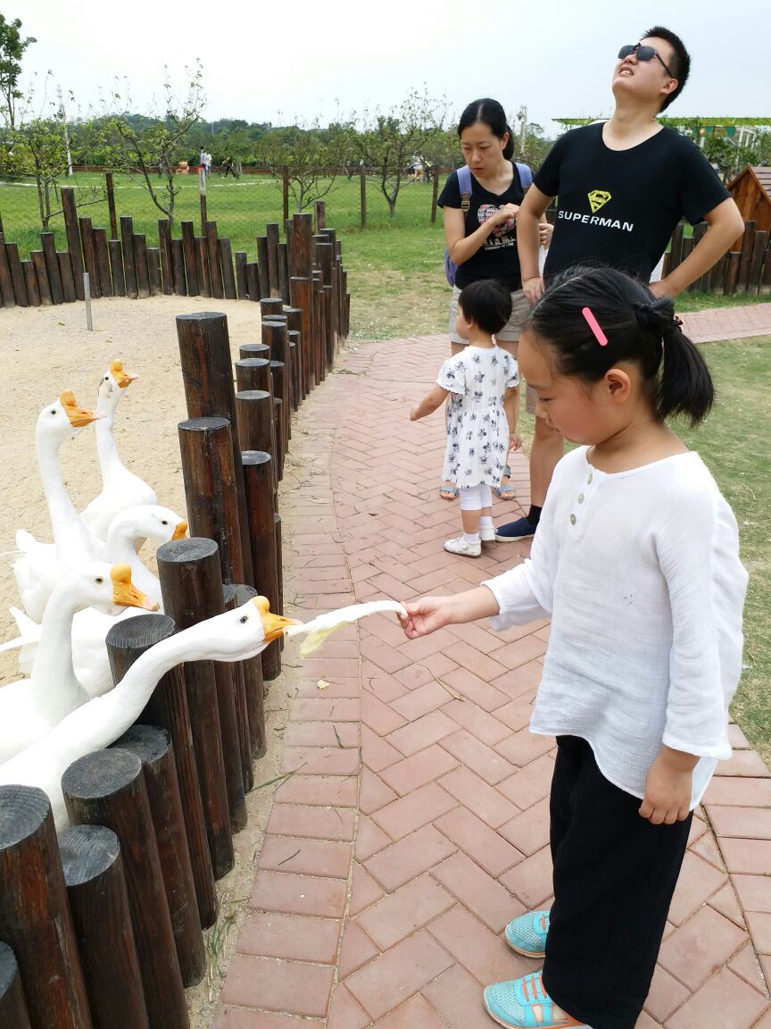 苏州steiff泰迪农场好玩吗,苏州steiff泰迪农场景点怎么样_点评_评价