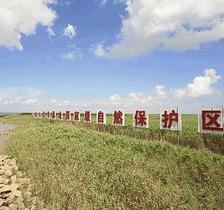 九段沙湿地国家级自然保护区