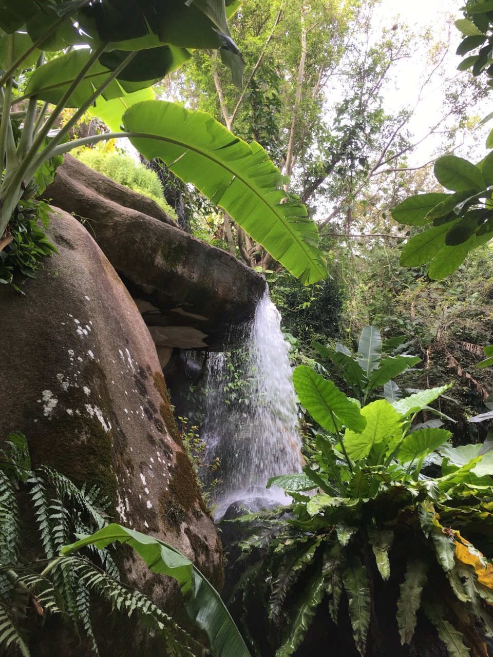 热带雨林最值得去,但园内的游览车的终点国防园可以不去,没什么景色.