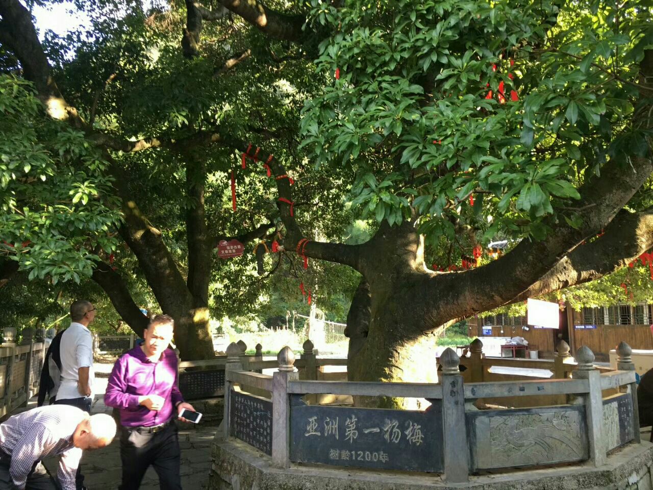 来凤杨梅古寨景区