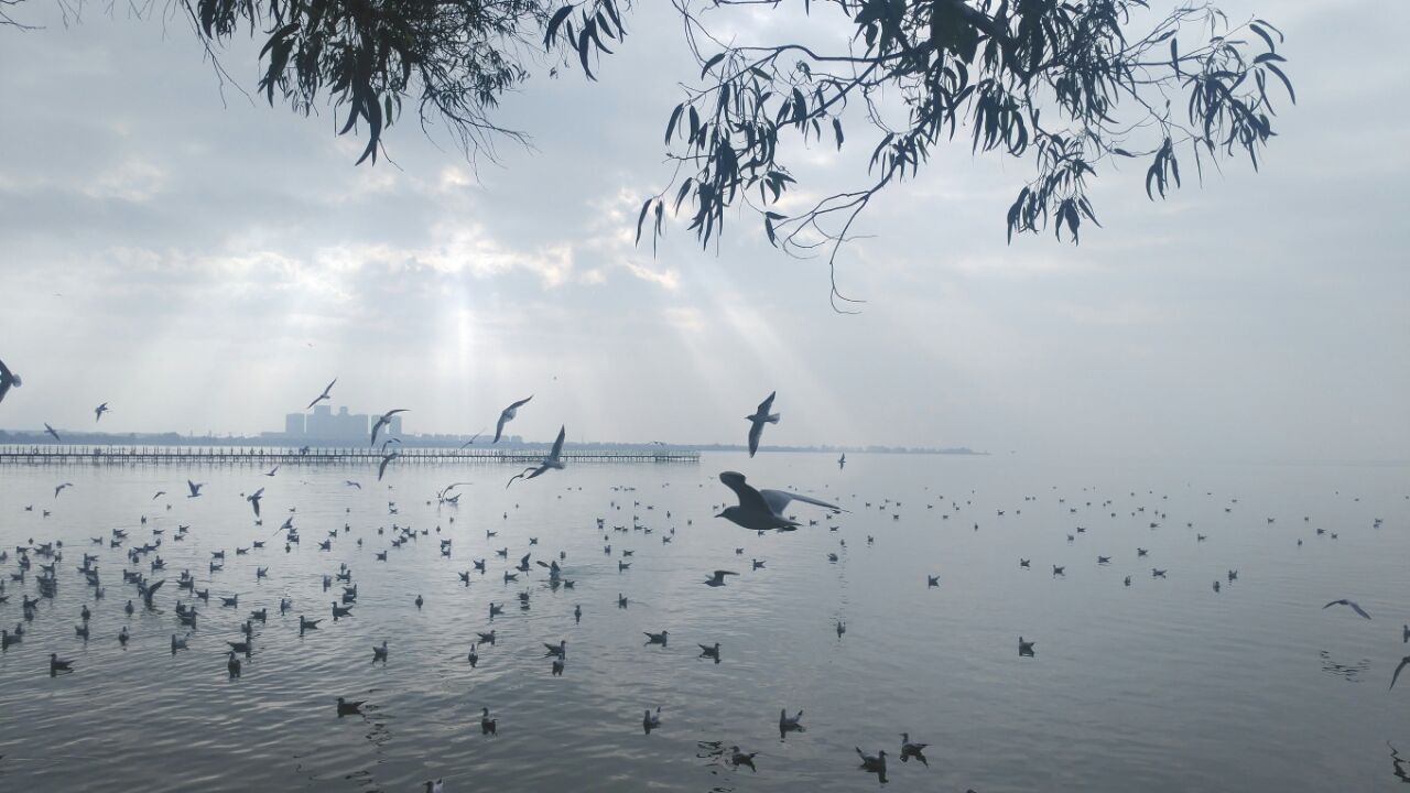 海埂公园