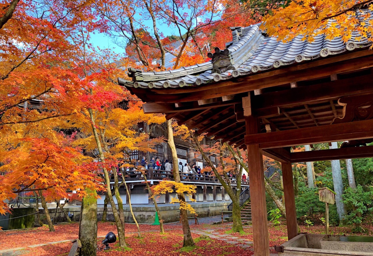 京都永观堂好玩吗,京都永观堂景点怎么样_点评_评价【携程攻略】