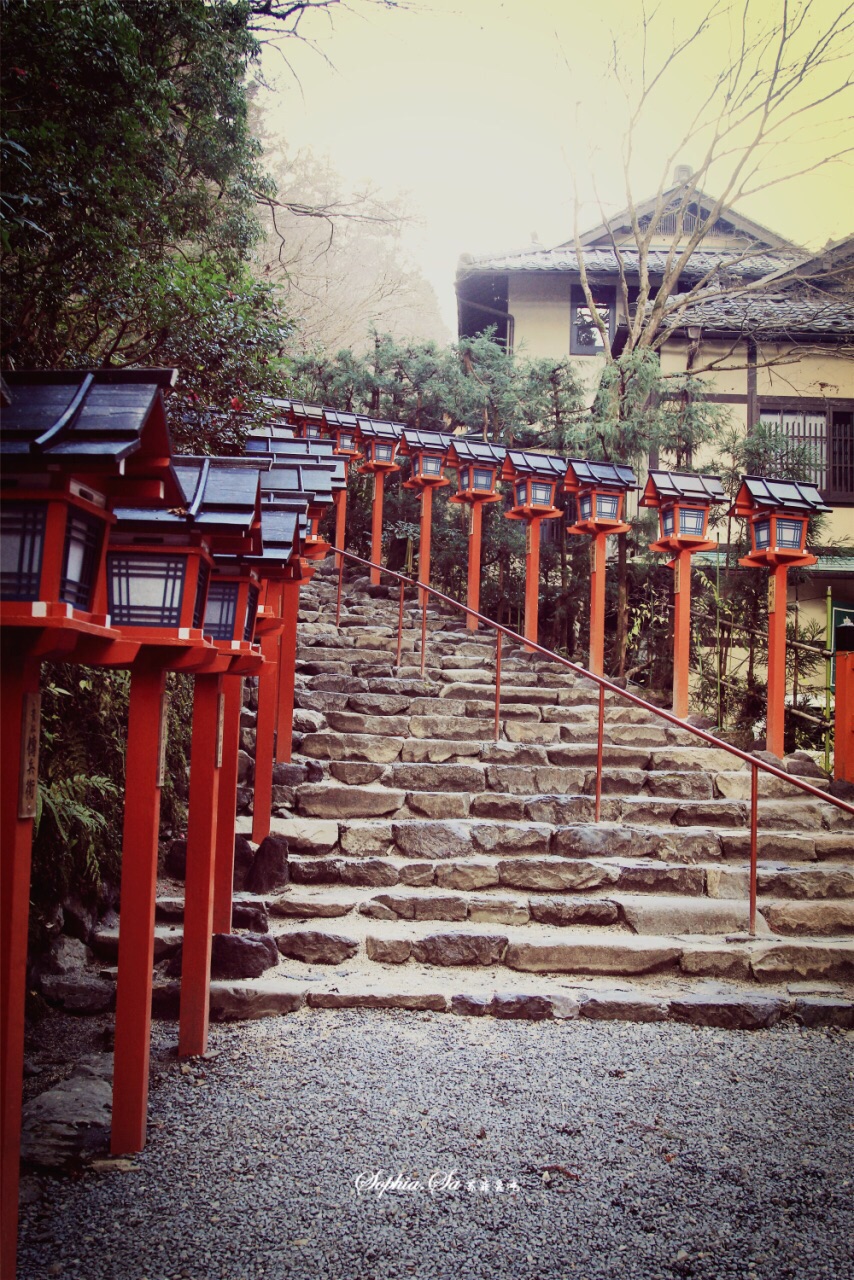 听说神社夜景楼梯两边的灯亮了的话很漂亮.