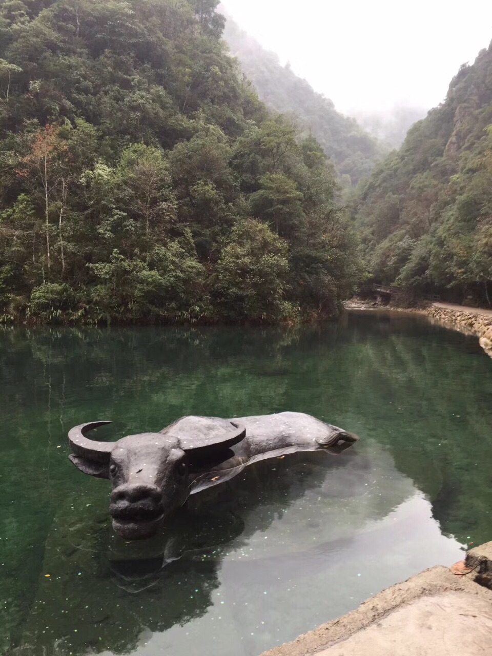 2019牛头山国家森林公园_旅游攻略_门票_地址_游记点评,武义旅游景点