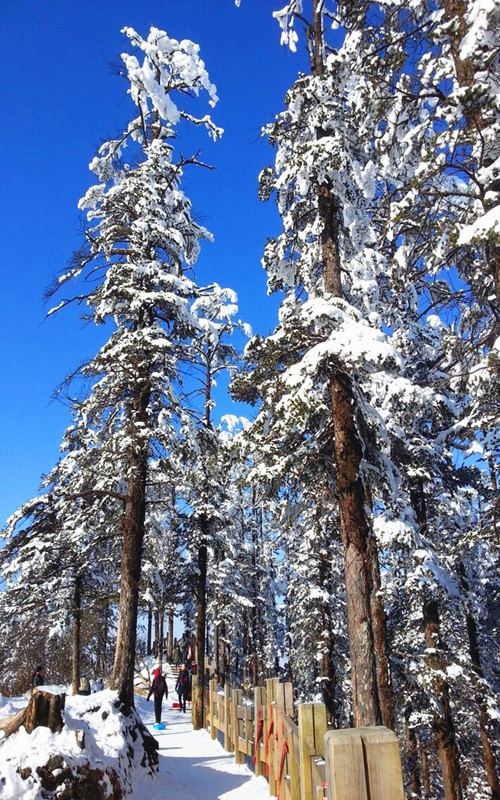 "川"梭中的回忆:足迹四川大邑西岭雪山---西岭雪山滑雪场,日月坪,阴阳