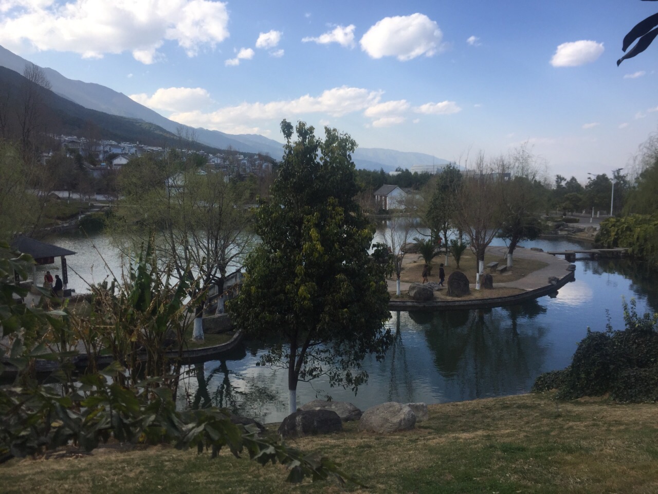 大理大学