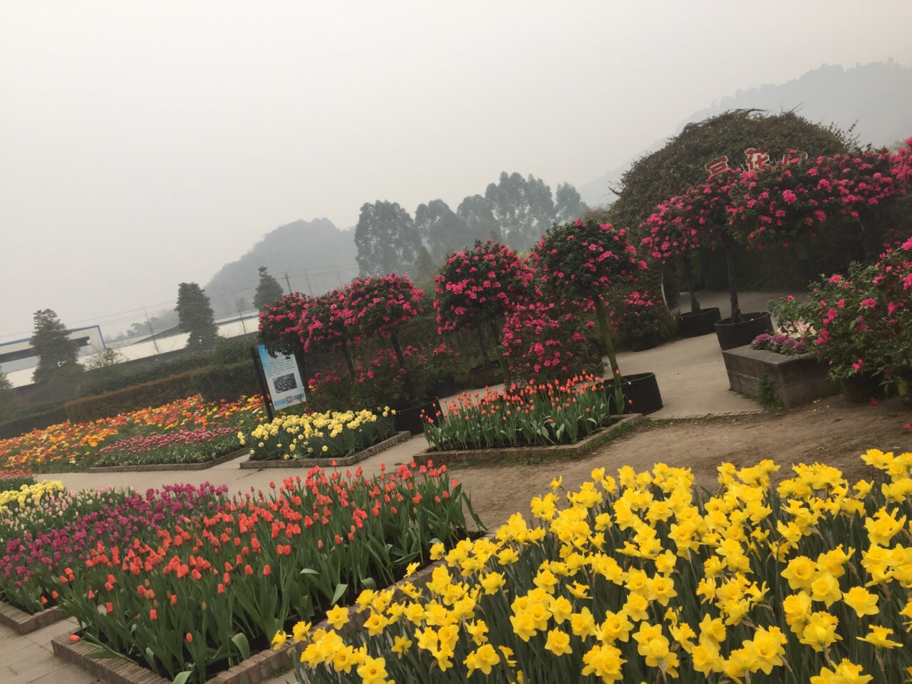 花舞人间