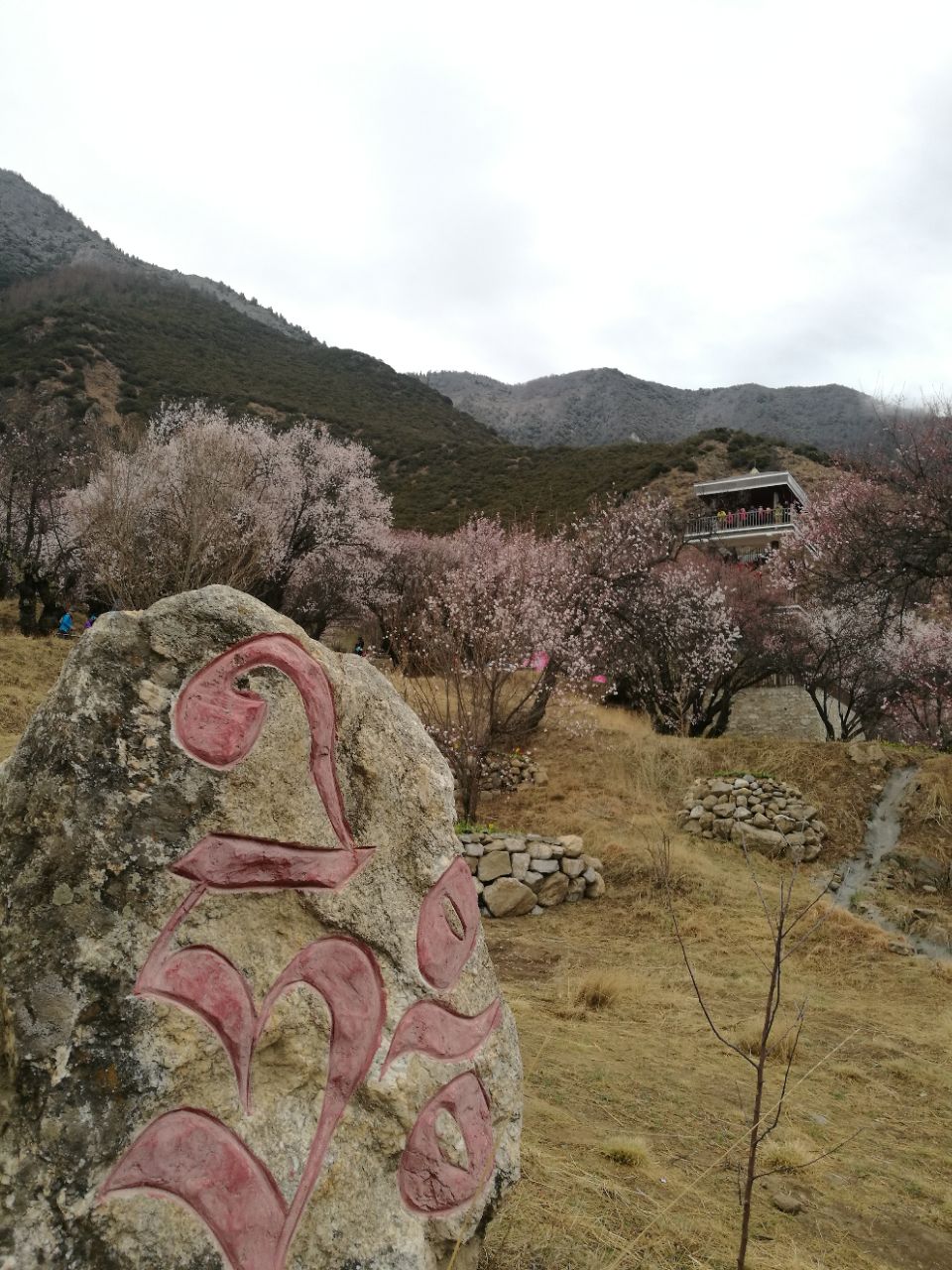 桃花沟,林芝桃花沟攻略/地址/图片/门票【携程攻略】