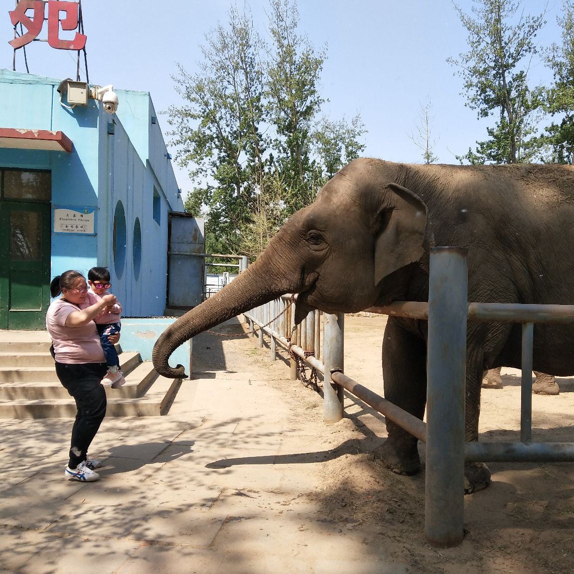 秦皇岛野生动物园