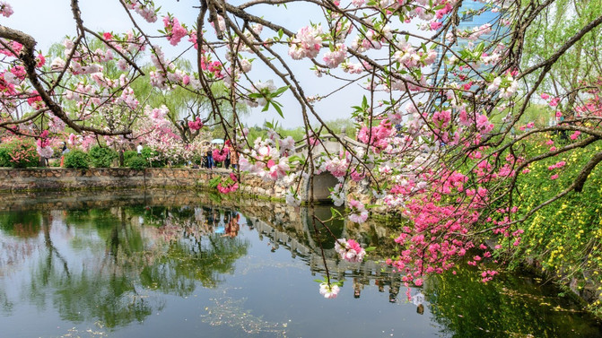 桃花浅深处,似匀深浅妆.