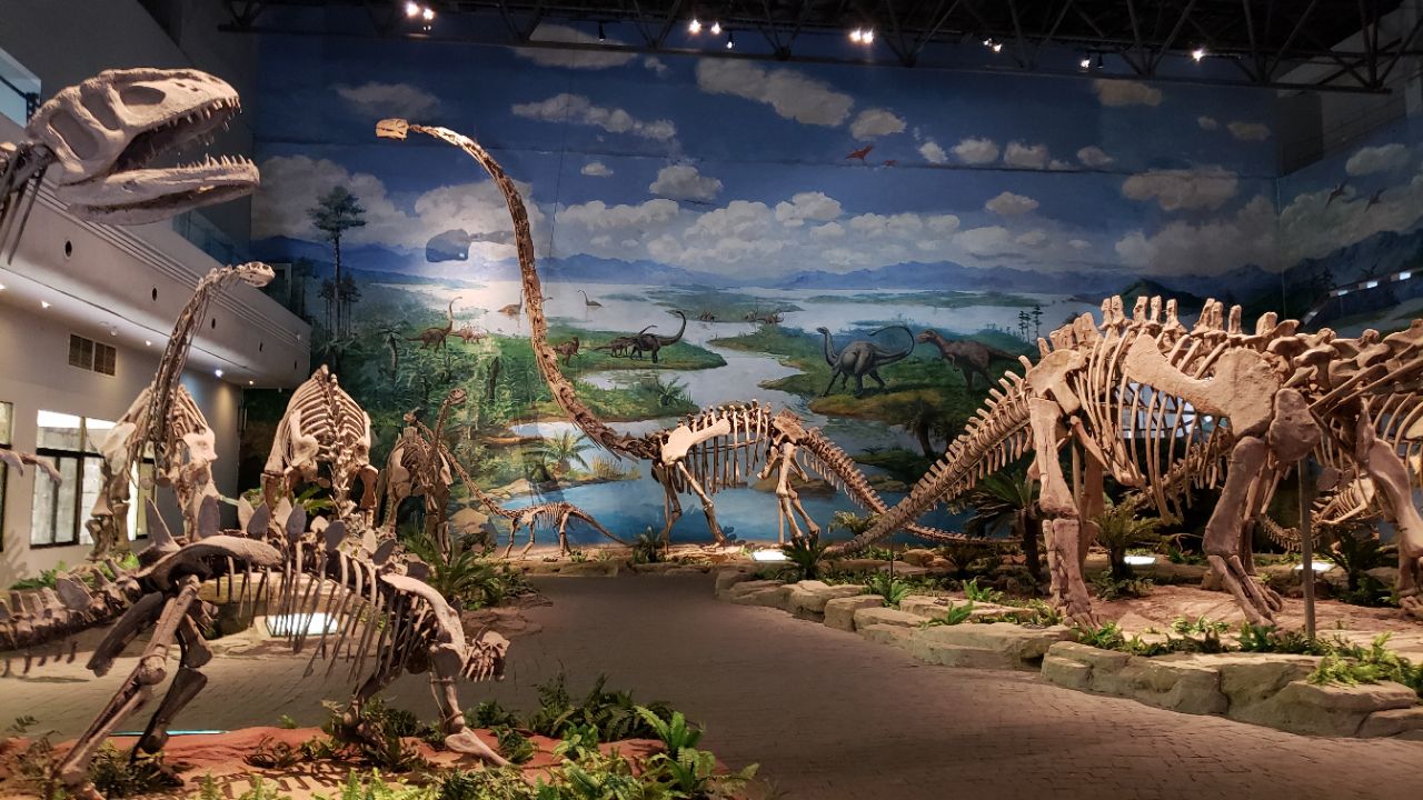 自贡恐龙博物馆旅游景点攻略图