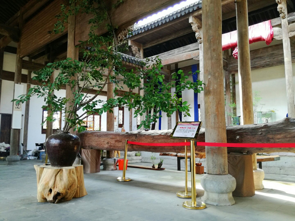 静坐品茗赏琴音