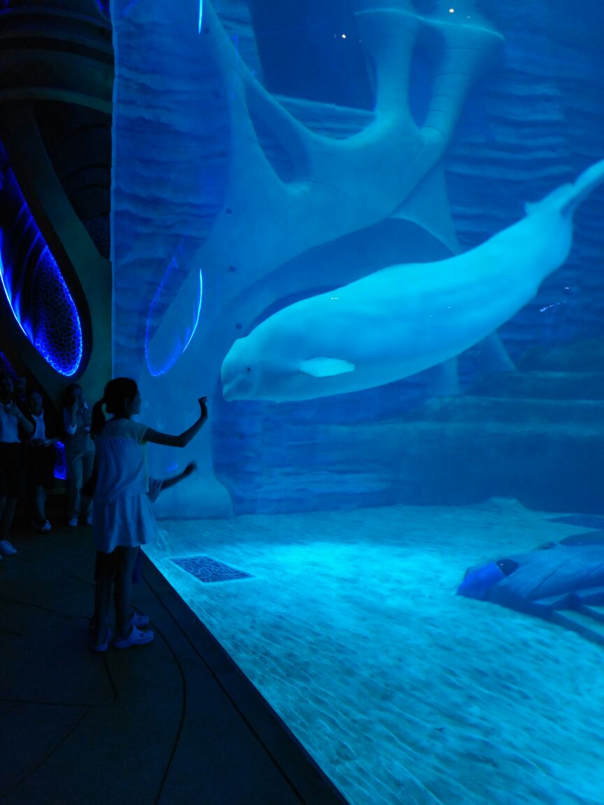 亚特兰蒂斯失落的空间水族馆