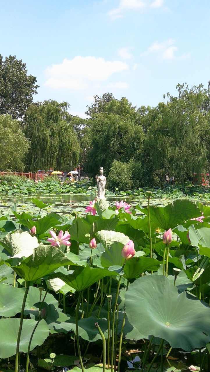 "盛京美——夏日游"(十),
"沈阳北陵公园(昭陵)",坐落在沈阳