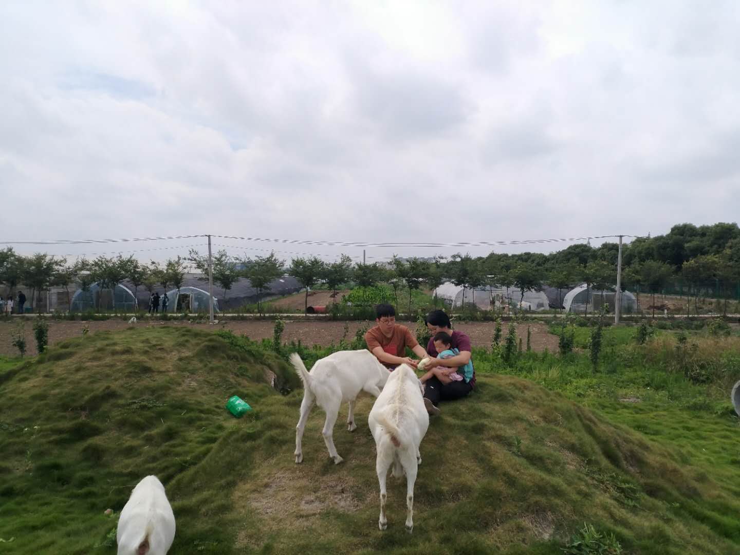 【携程攻略】上海微笑农场好玩吗,上海微笑农场景点样