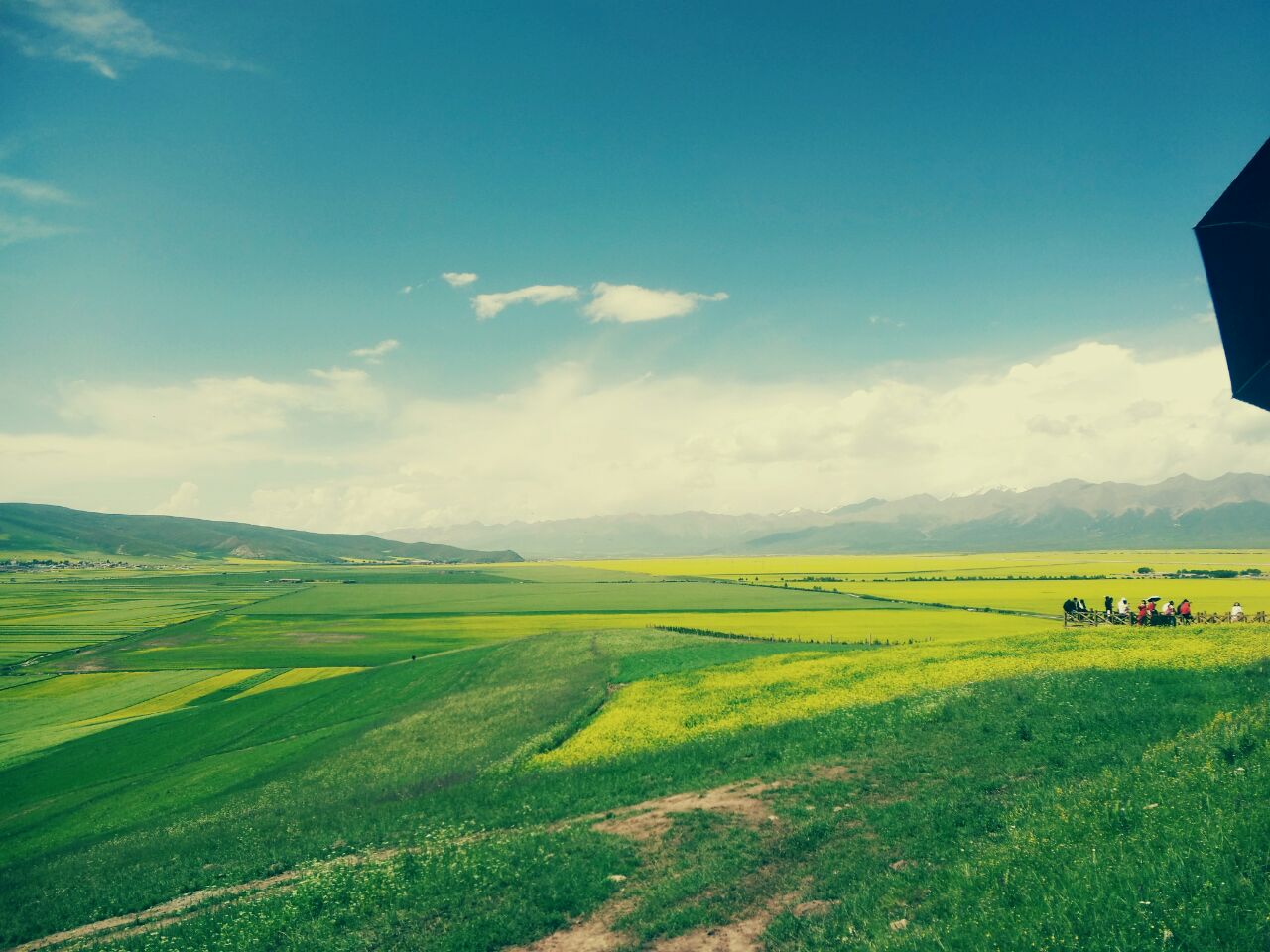 门源油菜花旅游景点攻略图