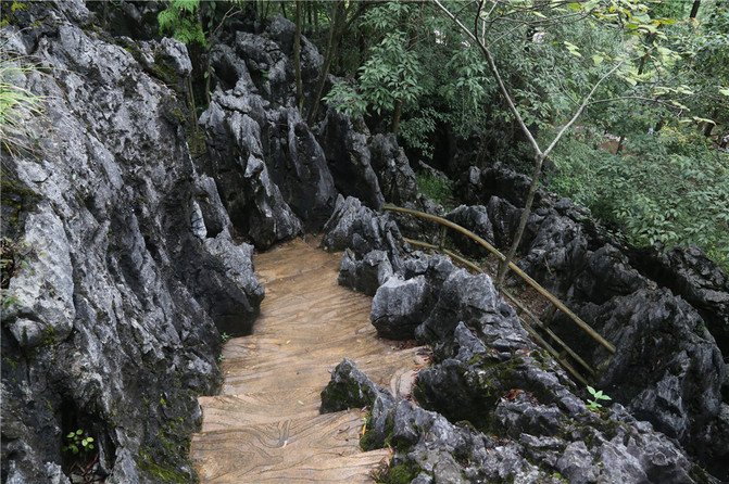 清远阳山神峰关中的蜂蛹石林,因成片蛹巢状的英石构成一幅百蛹成蜂