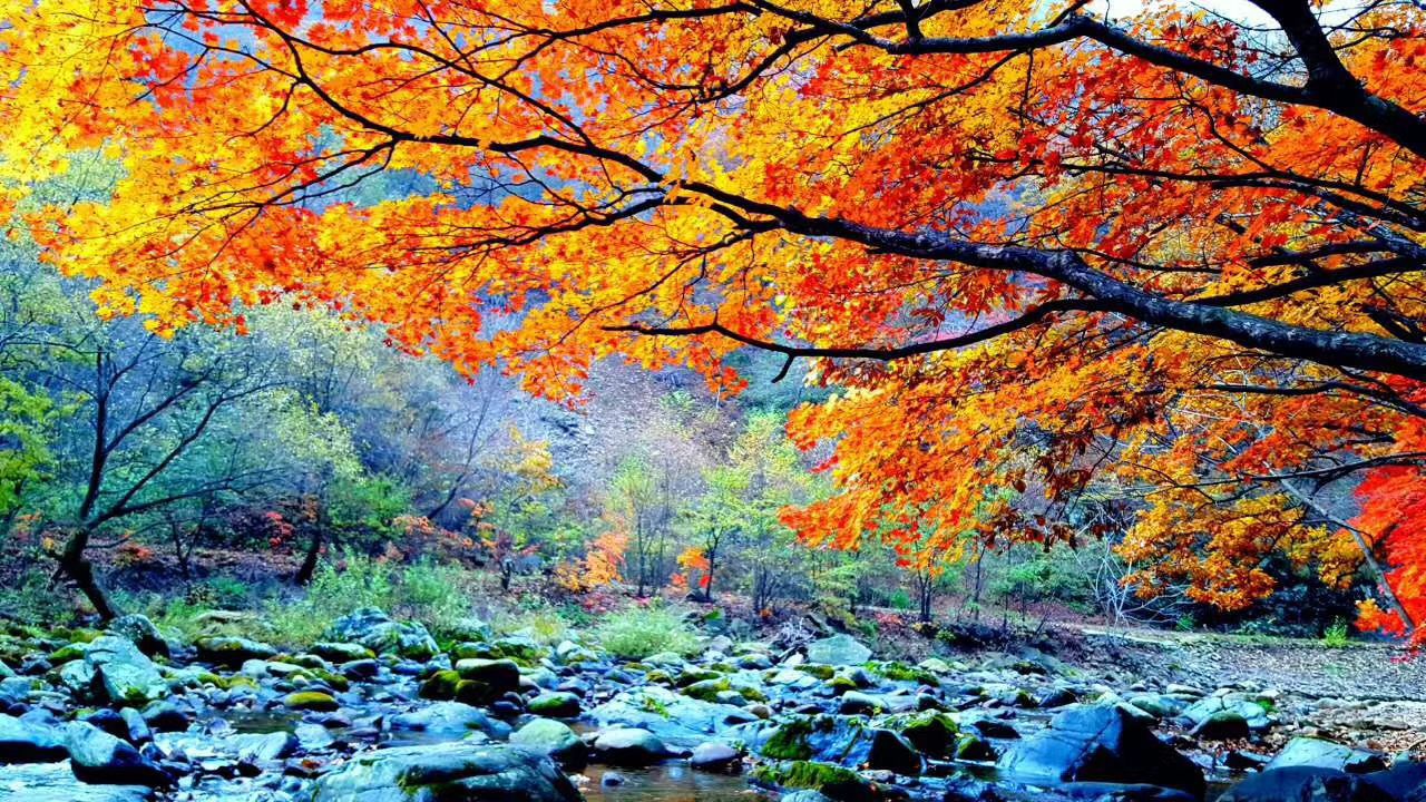 本溪老边沟风景区