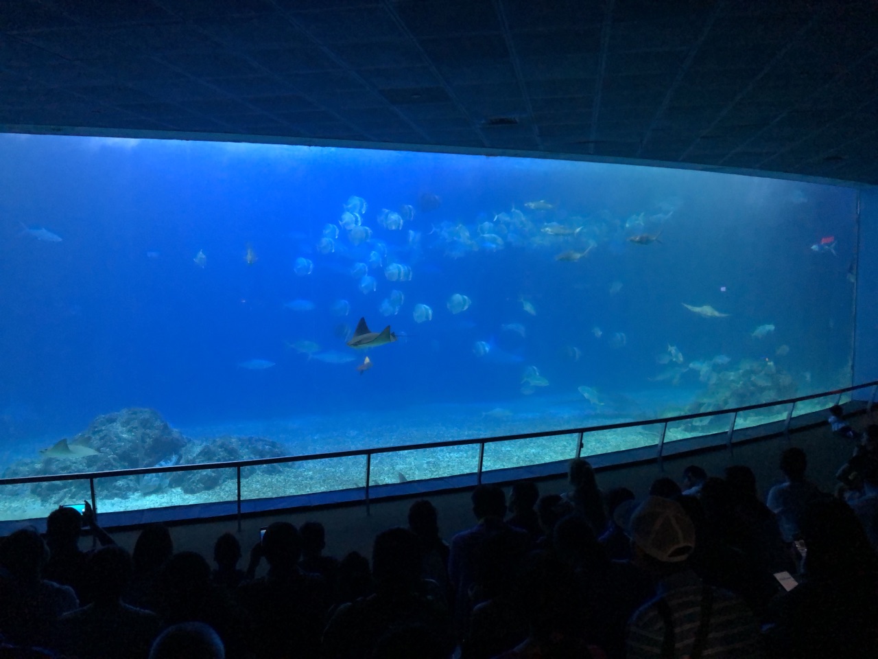 台湾海洋生物博物馆