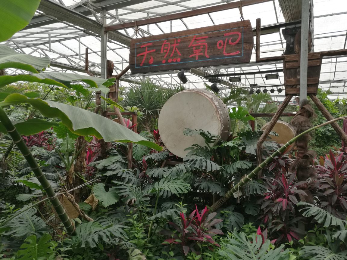 呀路古热带植物园