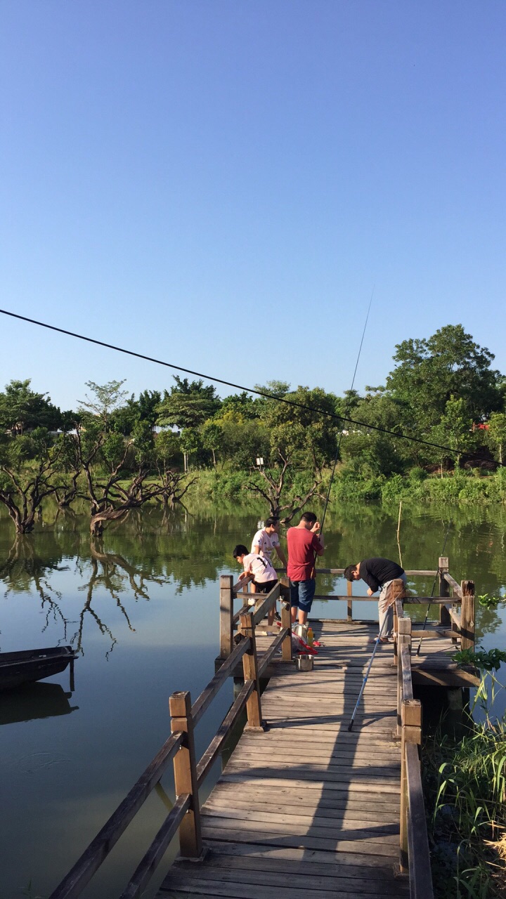 鹤之洲湿地公园