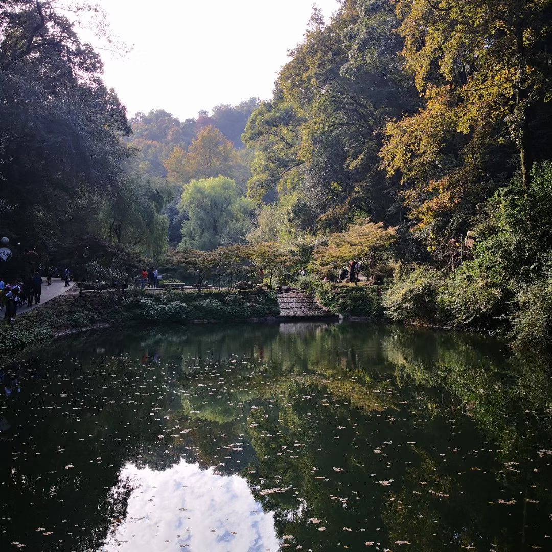 岳麓山