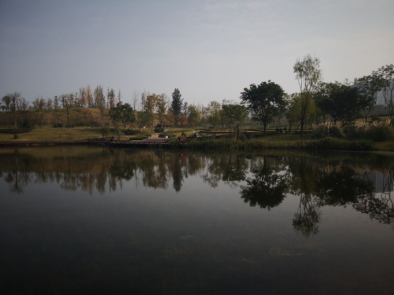 成都兴隆湖湿地公园好玩吗,成都兴隆湖湿地公园景点样