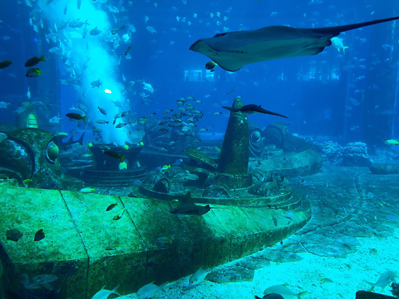 三亚亚特兰蒂斯失落的空间水族馆