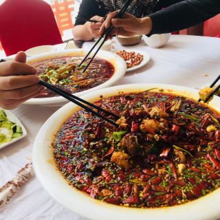 张鲢鱼生态河鲜