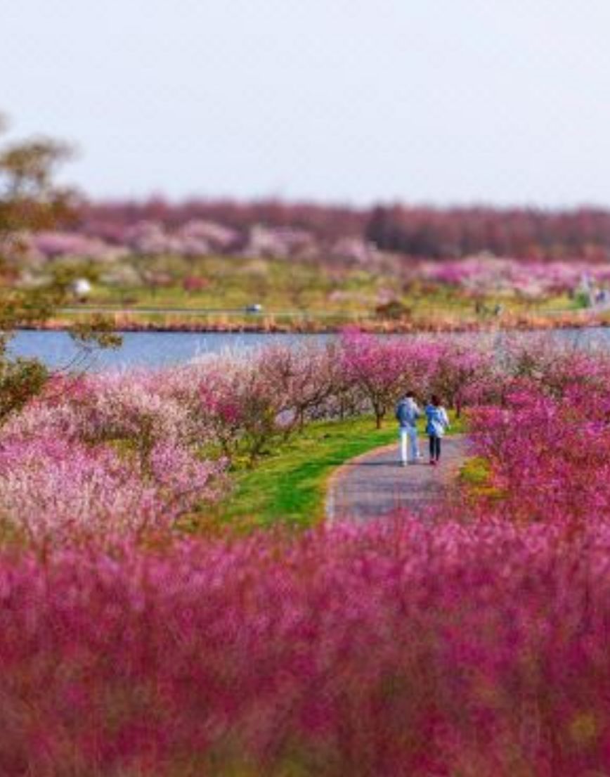 上海海湾国家森林公园