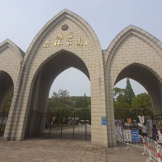 上海佘山国家森林公园-观光平台   分 1条点评 景点与地标 自然风光