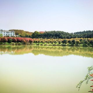 黄陂湖湿地    分 2条点评 地质地貌 自然风光 距景点864m