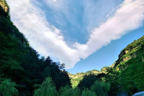 千佛山森林公园