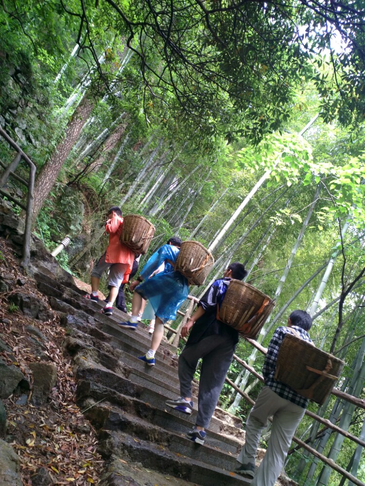 东天目山景区