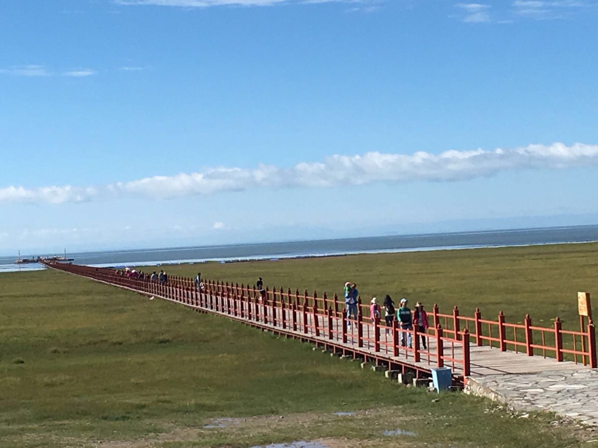 2019青海湖仙女湾_旅游攻略_门票_地址_游记点评,刚察